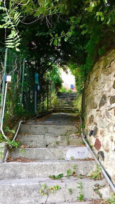 La Casa Novella, A 450 Metri Dal Mare Lägenhet Moneglia Exteriör bild