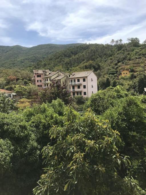 La Casa Novella, A 450 Metri Dal Mare Lägenhet Moneglia Exteriör bild