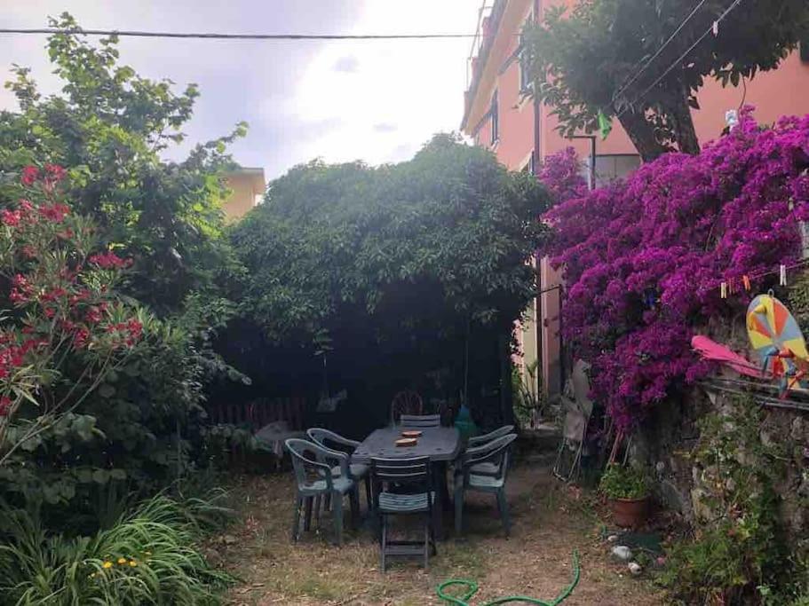 La Casa Novella, A 450 Metri Dal Mare Lägenhet Moneglia Exteriör bild